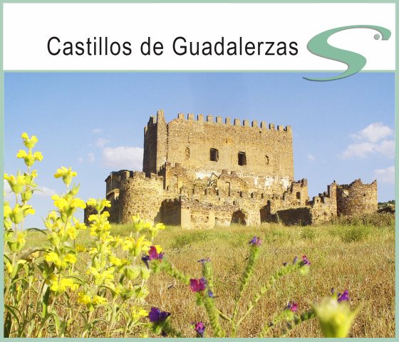 06 Castillo de Guadalerzas yebenes