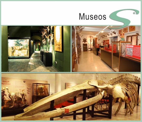 01 Museos